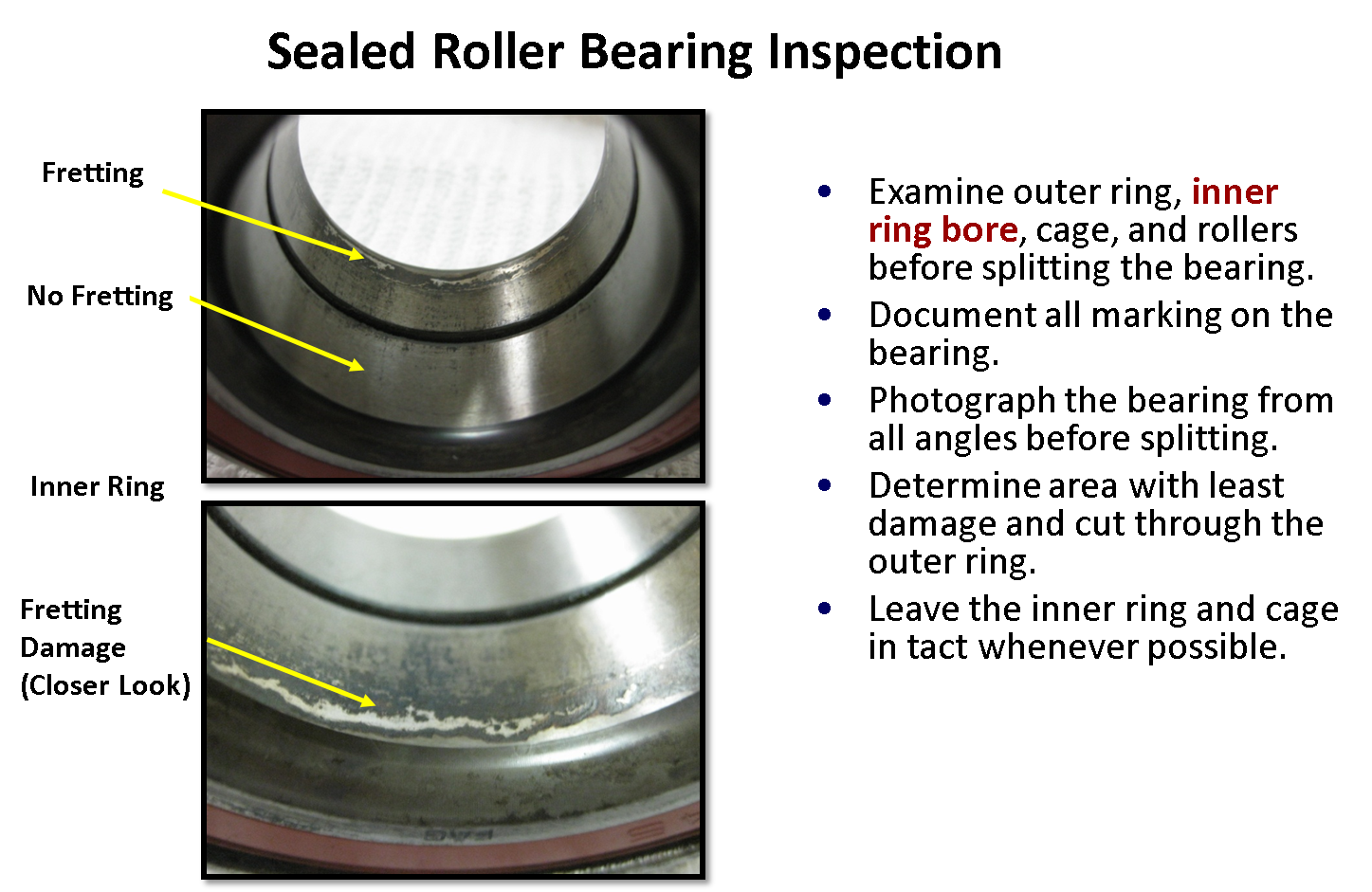 Examining Rolling Element Bearings Reliability